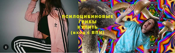 прущий лед Алексин