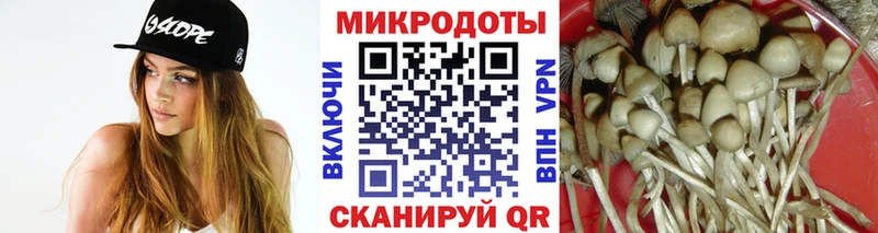Псилоцибиновые грибы мухоморы Одинцово