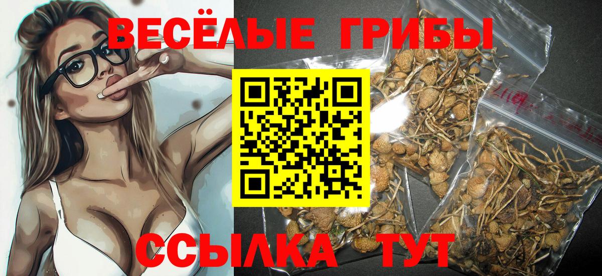 Галлюциногенные грибы Cubensis  купить  сайты  Одинцово  Вход с VPN 